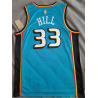 NBA Pistons Retro HILL 33