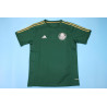 Palmeiras Retro Local Sin Sponsors 2014