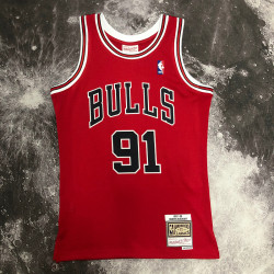 NBA Chicago Bulls RODMAN 91