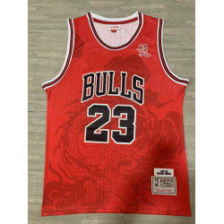 NBA Chicago Bulls JORDAN 23