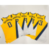 NBA Pacers FINALES NBA