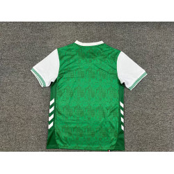 Saint Etienne Local 25-26