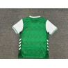 Saint Etienne Local 25-26