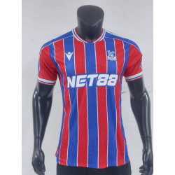 Crystal Palace Player...