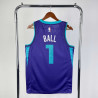 NBA Hornets BALL 1