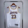 NBA Lakers Lebron 23