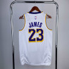 NBA Lakers Lebron 23